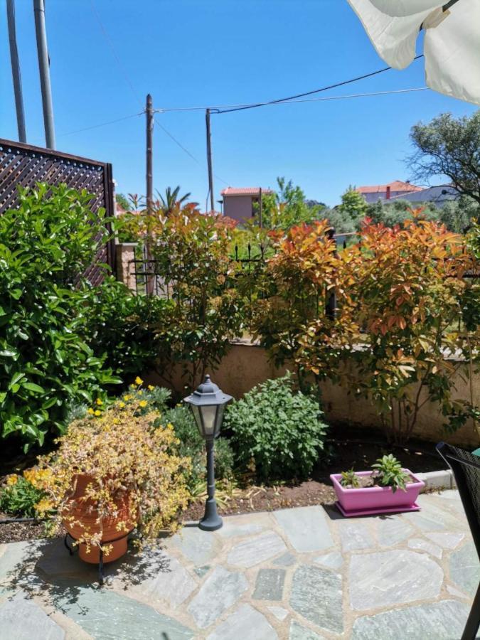 My 1 Apartment Limenas (Thasos)