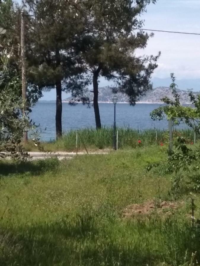 My 1 Apartment Limenas (Thasos)